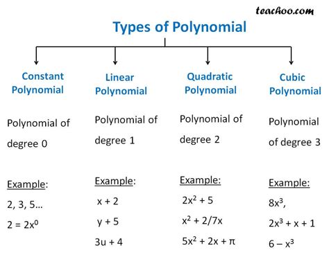 Polynomial: Definition, Types, Degree, Equation and .